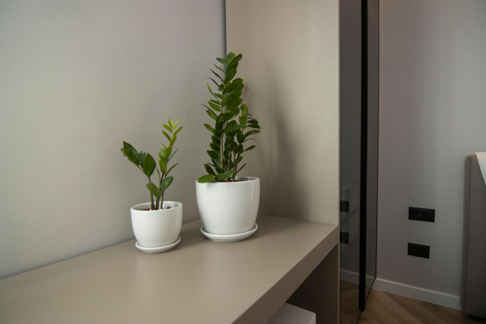 Mina Luxury Rooms Tiranë Eksteriør bilde